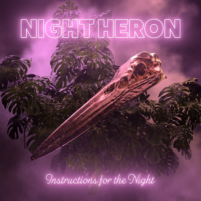 Instructions for the Night by Night Heron